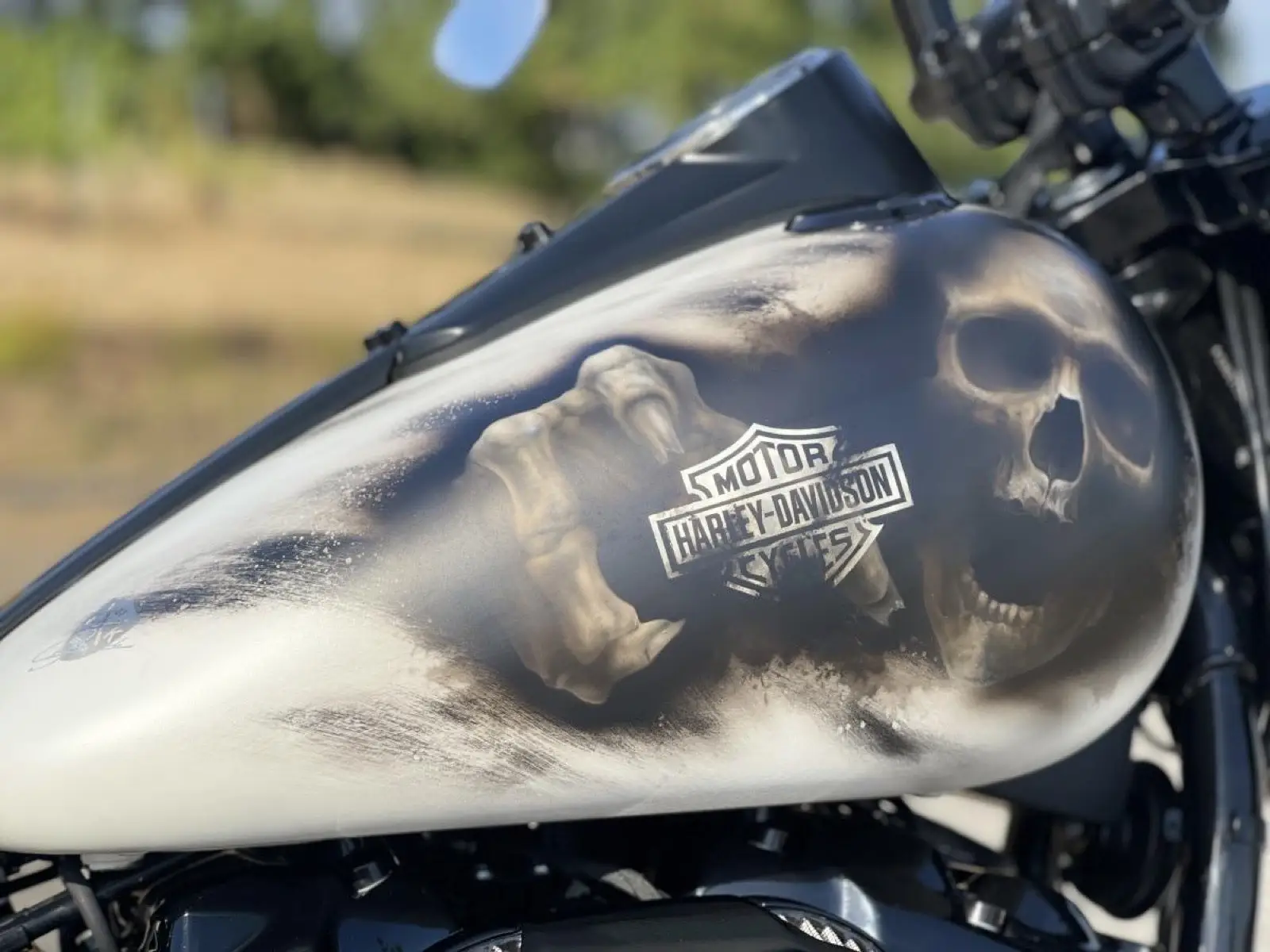 Calavera, Aufnahme 6